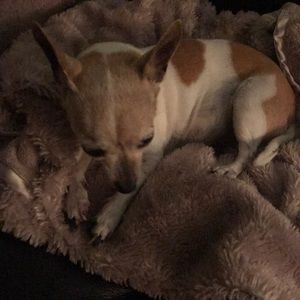 3 Kendra earrings, 1 Kendra bracelet and 1 James a